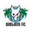 وولفز