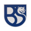 Union Brescia Primavera