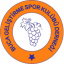 Buca Gelistirme Spor U19
