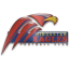 نسور الهند